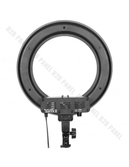 GlareOne Continuous Light Kit SUNNY RING-45