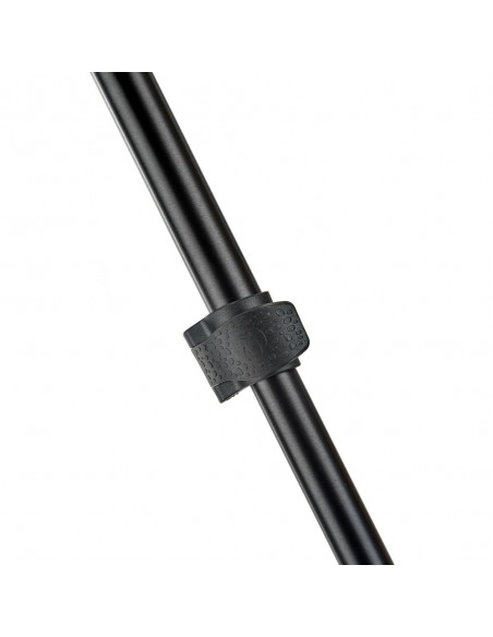 3 Legged Thing Punks Patti