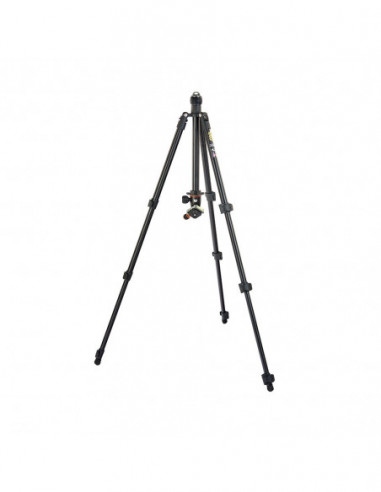 3 Legged Thing Punks Patti Black