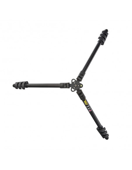 3 Legged Thing Punks Patti Black