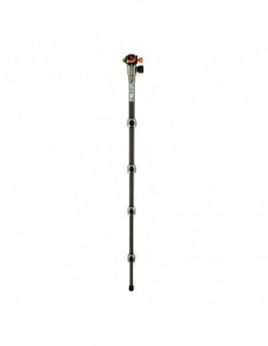 3 Legged Thing Albert 2.0 Gray