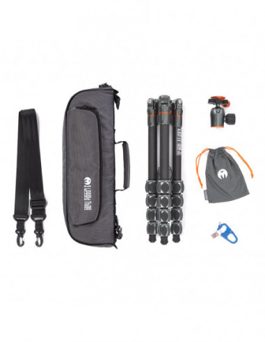 3 Legged Thing Albert 2.0 Gray