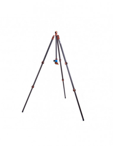 3 Legged Thing Winston 2.0 Bronze