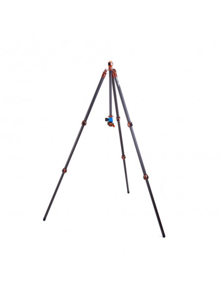 3 Legged Thing Winston 2.0 Bronze