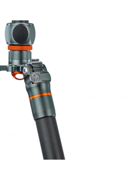 3 Legged Thing Winston 2.0 Gray