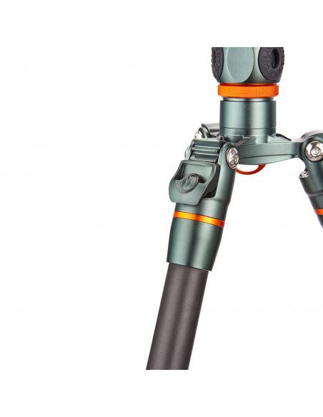 3 Legged Thing Ray Grey