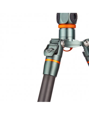 3 Legged Thing Ray Grey