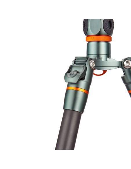 3 Legged Thing Ray Grey