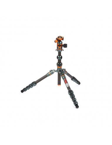 3 Legged Thing Ray Grey