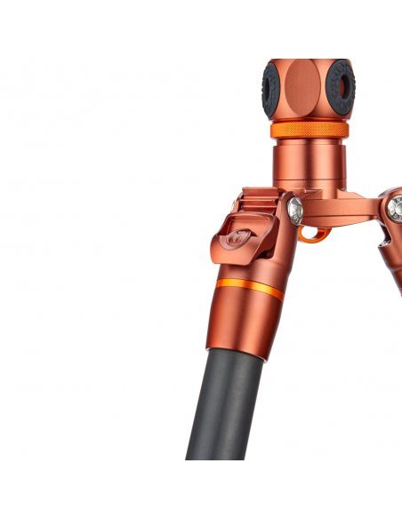 Statyw 3 Legged Thing Ray Bronze, włókna węglowe, 5-sekcji, udźwig 30kg, głowica Airhed VU