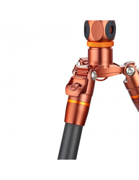 3 Legged Thing Ray Bronze