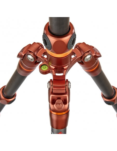 3 Legged Thing Ray Bronze