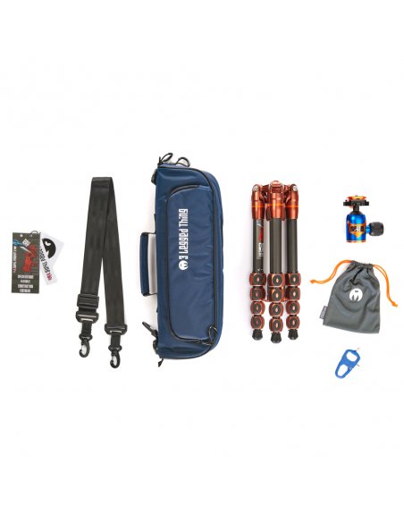 3 Legged Thing Ray Bronze