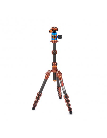 3 Legged Thing Ray Bronze