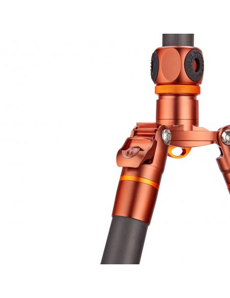 3 Legged Thing Bucky Bronze