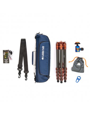 3 Legged Thing Bucky Bronze