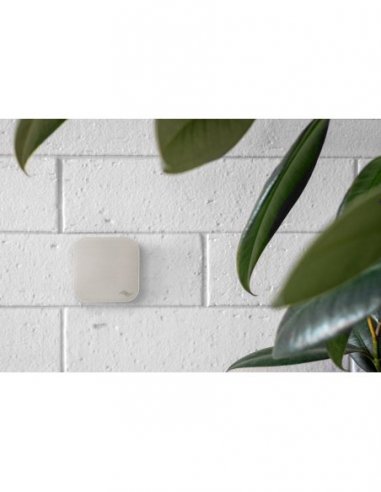 Peak Design Mobile Wall Mount - White