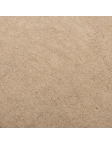 GlareOne Canvas 02 - tło materiałowe 2,8x2,6 m