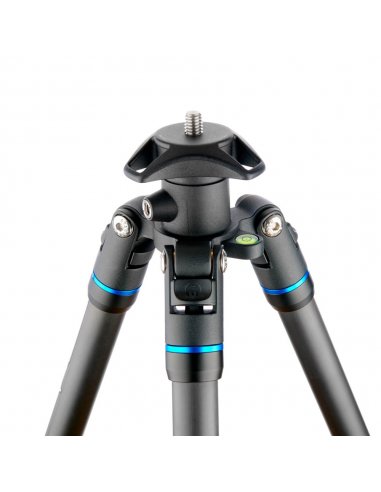 3 Legged Thing Punks Billy Blue 2.0