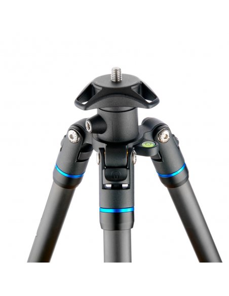 3 Legged Thing Punks Billy Blue 2.0