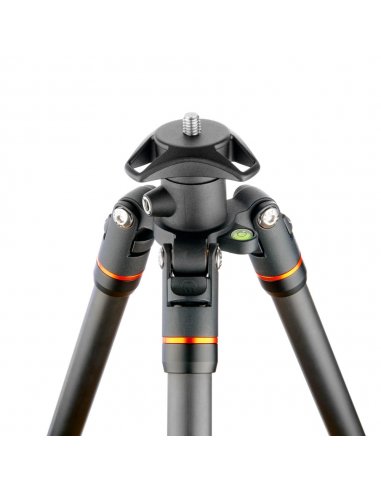 3 Legged Thing Punks Brian Black 2.0