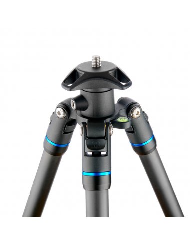 3 Legged Thing Punks Brian Blue 2.0