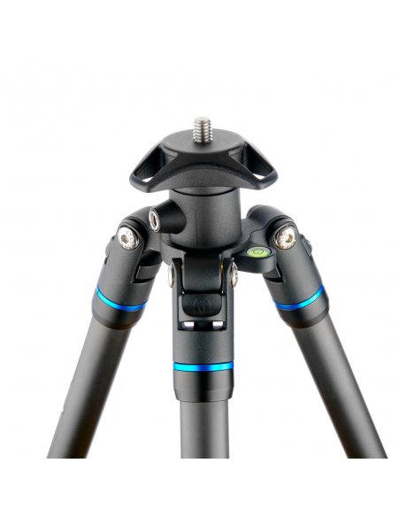 3 Legged Thing Punks Brian Blue 2.0