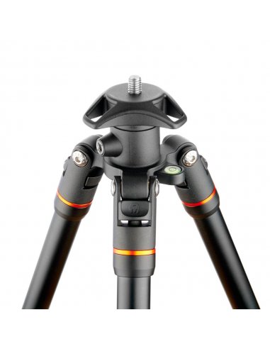 3 Legged Thing Punks Travis Black 2.0