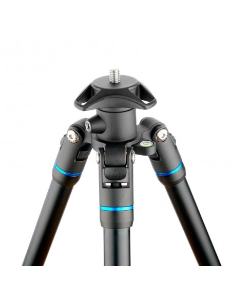 3 Legged Thing Punks Travis Blue 2.0