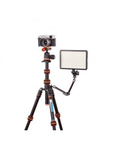 3 Legged Thing Punks Corey Black 2.0