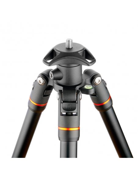 3 Legged Thing Punks Corey Black 2.0