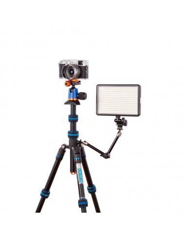 3 Legged Thing Punks Corey Blue 2.0