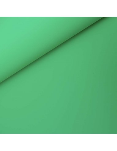 GlareOne PVC Background 60x130cm - green