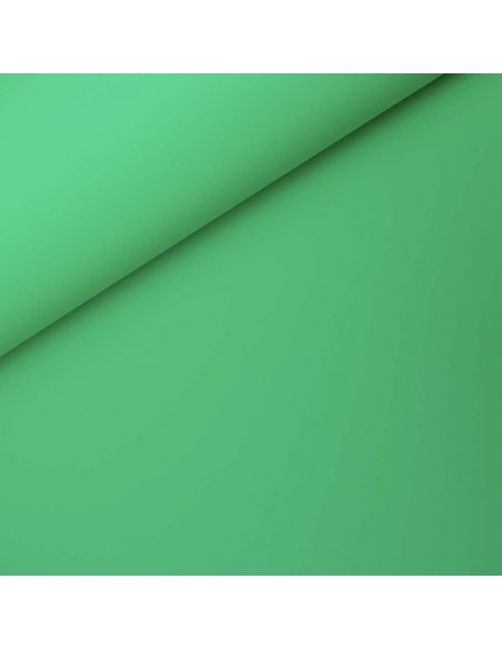 GlareOne PVC Background 60x130cm - green